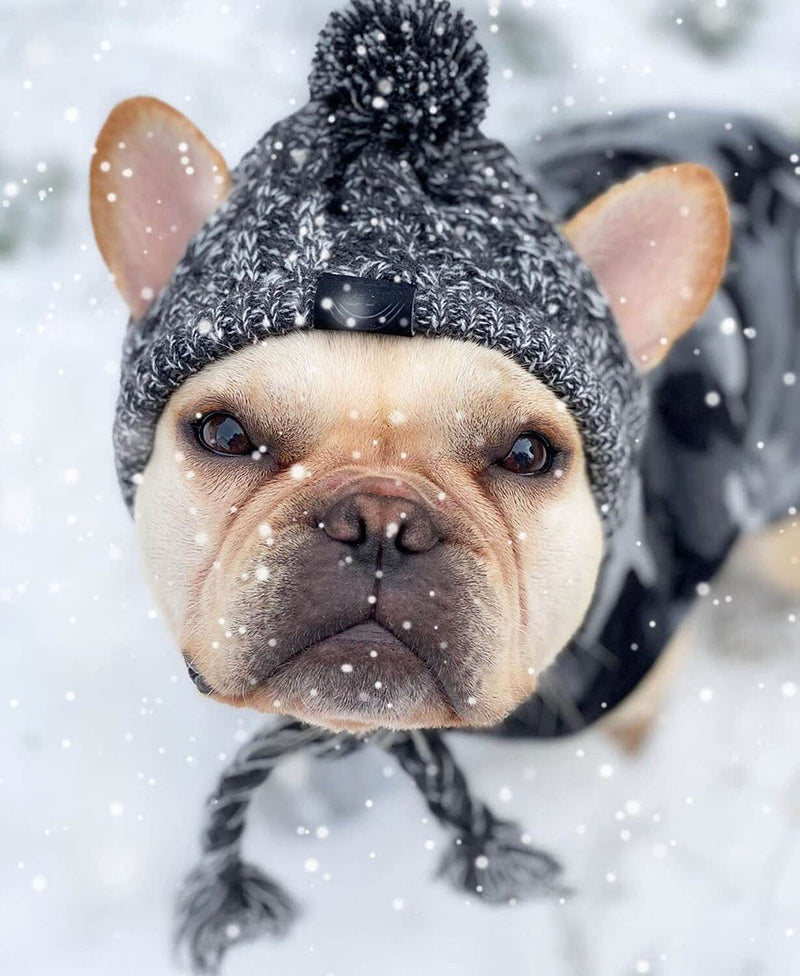 Polar Pom Pom Hat, Warm Pet Dog Knitted Hat,Pet Dog Winter Knitted Hat, Hats for Small Dogs, Winter Dog Hat with Ear Holes and Long Tassel, Grey Medium - PawsPlanet Australia