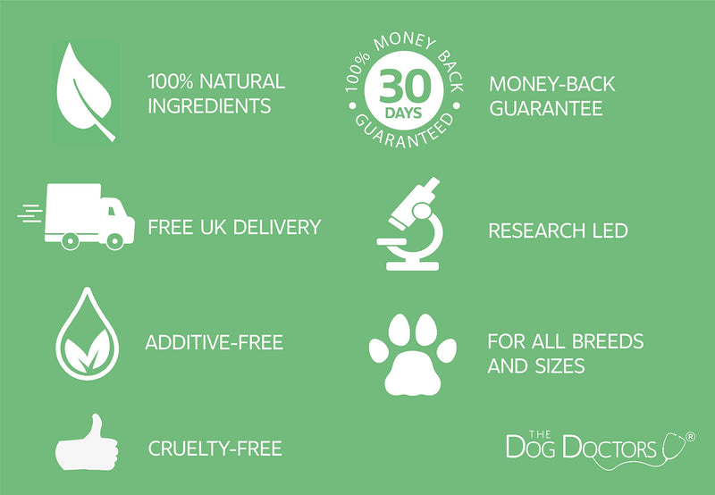 The Dog Doctors Scoot Solution + No Scoot Soft Chews - Ideal Pro Fibre Treat Which Helps Eliminate Scooting and Improves Dog Gland Health. (60 Chews new) 60 Chews new - PawsPlanet Australia