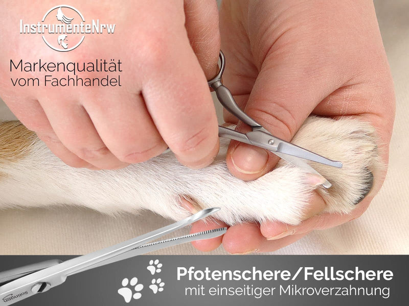 Fur scissors Paw scissors from Solingen Small dog scissors with one-sided micro-serration Dog hair scissors made of stainless steel with a sharp, rounded cutting surface for perfect grooming - PawsPlanet Australia