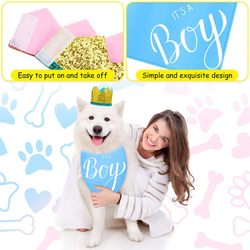 2 Pieces It's a Boy It's a Girl Dog Bandana Gender Reveal Baby Announcement Dog Bandana and 2 Pieces Pet Crown Dog Hat Photo Props for Dog Puppy Cat (Blue, Pink) - PawsPlanet Australia