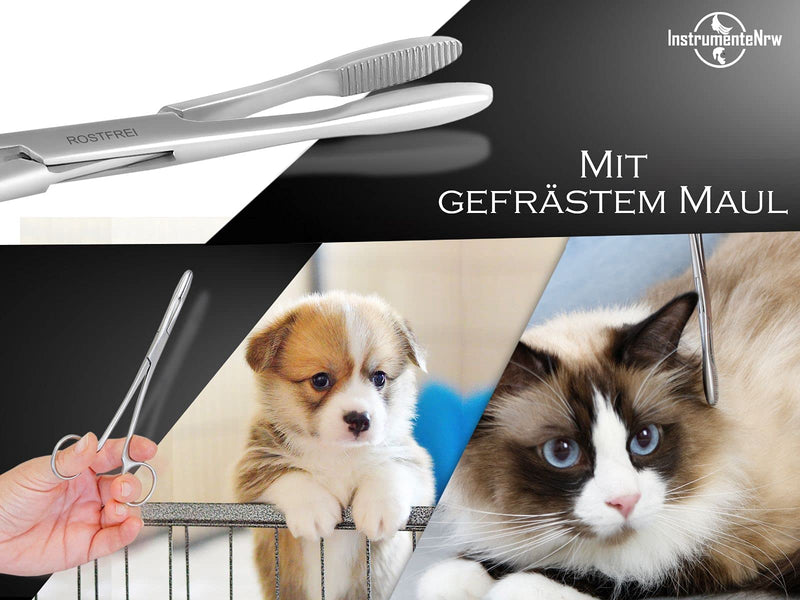 Animal hair remover hair plucking pliers for animals - PawsPlanet Australia
