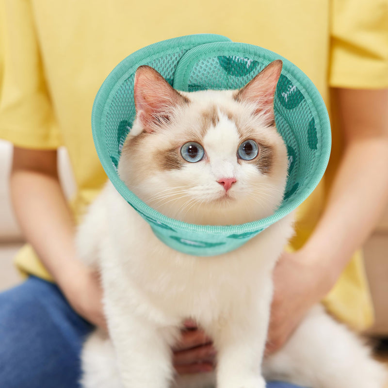 Lollanda Adjustable Cat Neck Collar, Foldable Soft Protective Collar Cat Elizabethan Collar, Recovery Collar for Cats Pets After Surgery and Injuries (Green, M) Green, M - PawsPlanet Australia