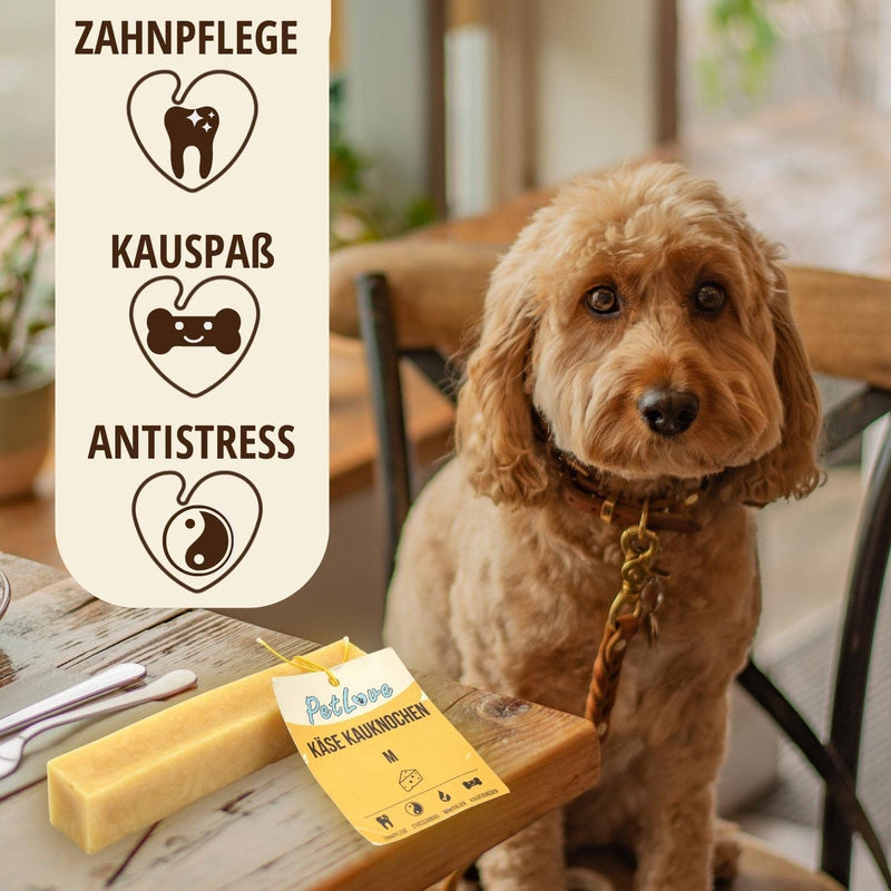 PetLove hard cheese for dogs • 100% natural chewing bone made from cheese • Chewing cheese for dogs • Chewing fun & dental care • Ideal for on the go • Pack of 3 • Size XL: 110-140g XL (Pack of 3) - PawsPlanet Australia