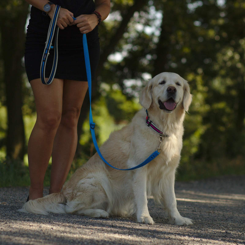 Reflective Dog Lead Dog Leash, Adjustable Design, Functional and Extremely Durable Dog Training Lead - Blue, Dog Running Leash (220cm) - PawsPlanet Australia