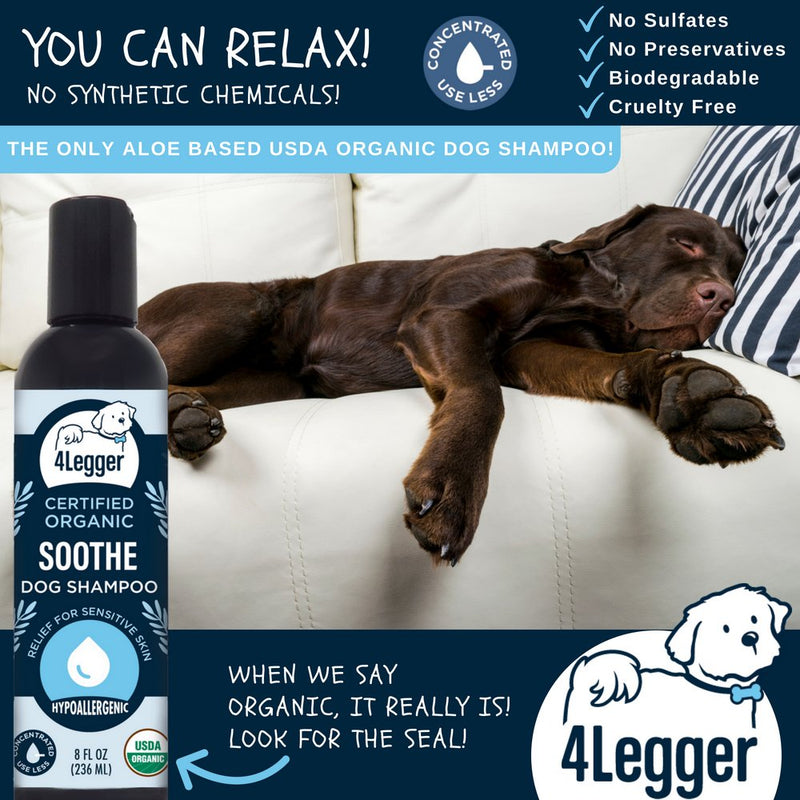 [Australia] - 4-Legger Aloe Dog Shampoo All Natural and USDA Certified Organic Dog Shampoo - Hypoallergenic and Unscented for Sensitive Skin - USA - 8 oz 