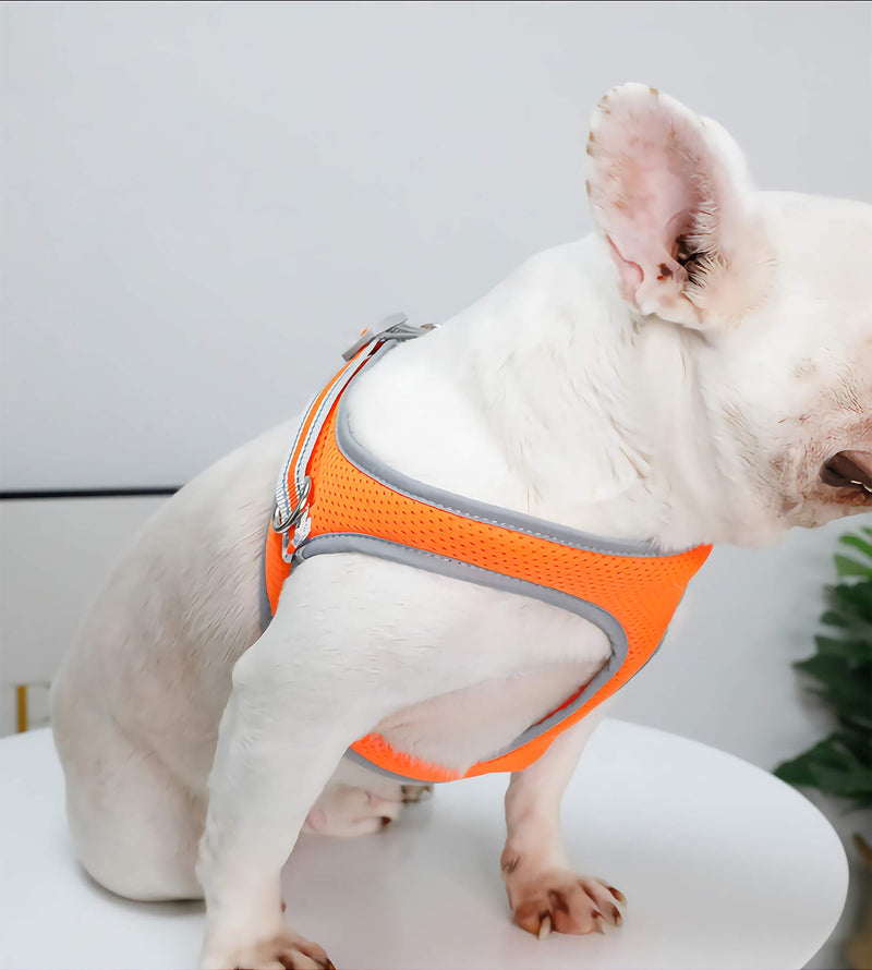 risdoada Air Mesh Adjustable Pet Harness with Leash, Reflective Puppy Vest, Soft Dog Chest Strap for Small Medium Large Dogs and Cats, Orange M M Chest 17.7-19.7 inches - PawsPlanet Australia