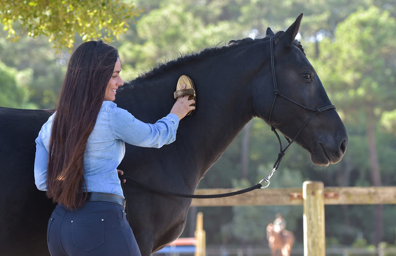 Equimour horsehair brush brush "TORI" | Horse brush | Wooden brush | Grooming | Horse Accessories | Grooming supplies for horses - PawsPlanet Australia