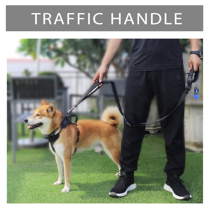 Hands Free Dog Training Leash for Large to Small Dogs, Heavy Duty Long Leash with Double Handle, No Pull Bungee, Reflective Waist Leash for Running, Car Seat Belt 25mm BLACK - PawsPlanet Australia