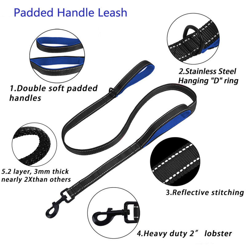 Dual Dog Leash Double Dog Leash, Multifunctional Detachable Leash for 1 or 2 Dogs, No Tangle Shock Absorbing Bungee Walking Lead with Two Handles Bonus Funny Waste Bag Dispenser for Dogs Up to 180lbs Black and Blue - PawsPlanet Australia