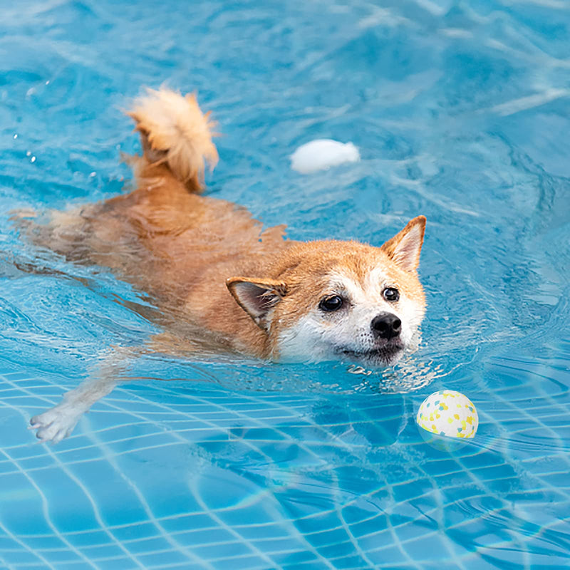 Dog Water Toy Ball,Dogs Floating Toy balls for Pool & Lake,Durable and Chewable dog balls for teeth cleaning,Interactive Dog Balls for Small Medium Breed Dog Water Toy Indoor & Outdoor(Blue) Blue - PawsPlanet Australia