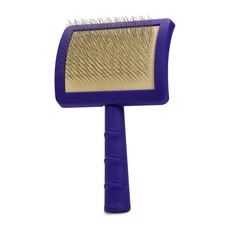 Jelly Pet Universal Slicker Brush for Dogs, Remove Tangles and Dead Undercoat, Doodle Huskie Sheep Dog Golden Retriever German Shepherd, Firm Pins, Teal, Large Head (3 in x 4 in) - Pins (Firm) - PawsPlanet Australia