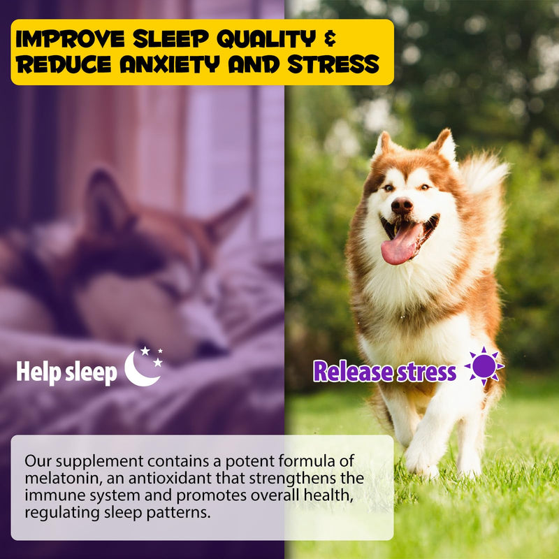 Sleep Aid for Dogs, Melatonin for Dogs, Dog Melatonin Drops Supports Dog Sleep, Dog Anxiety Relief, Calming Dogs and Regulates Sleep Patterns - Pet Supplements Liquid Vitamins, Bacon Flavour - 2 Fl Oz - PawsPlanet Australia