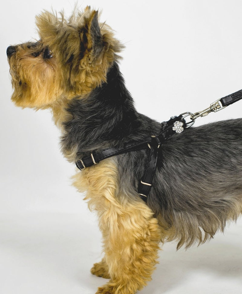 Dingo New York Harness for Small Breeds, Decorative Harness for Dog Made of Black Leather 10830 - PawsPlanet Australia