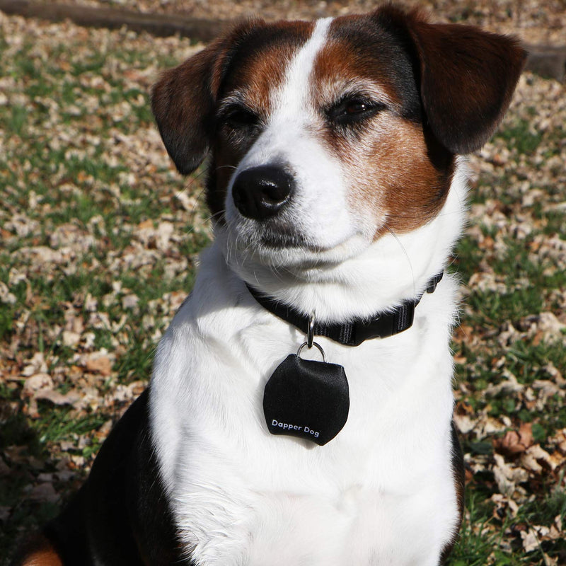 Dapper Dog - Dog Tag Silencer with Tag Ring Black - PawsPlanet Australia