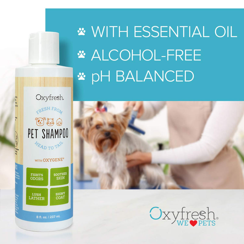 [Australia] - Oxyfresh Pet Shampoo – Cat & Dog Anti Itch Shampoo – Moisturizing Dog Shampoo to Pamper Skin & Coat – Perfect for Dogs, Puppies, Cats & Kittens. 3 Pack Pet Shampoo 