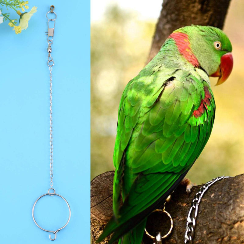 Hztyyier 25CM Parrot Foot Chain Bird Foot Stand Chain with Stainless Steel Ring for Pet Birds Stand(5.5mm) 5.5mm - PawsPlanet Australia