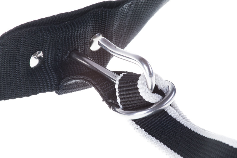 Non-stop Dogware Waist Belt, trekking belt for pulling a dog, running belt for training a dog and sport, blue, Unisex - PawsPlanet Australia