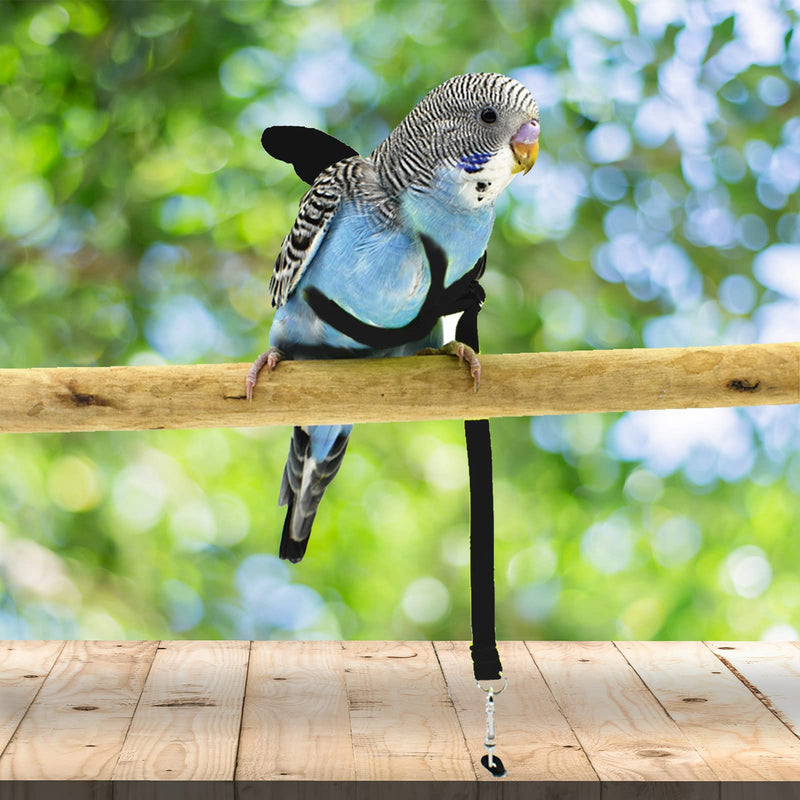 Dnoifne Pet Parrot Bird Harness and Leash, Adjustable Training Design Anti-Bite, Bird Nylon Rope with Cute Wing for Parrots, Suitable for Alexandrine, Scarlet, Keck, Mini Macaw and Same Size Birds black - PawsPlanet Australia