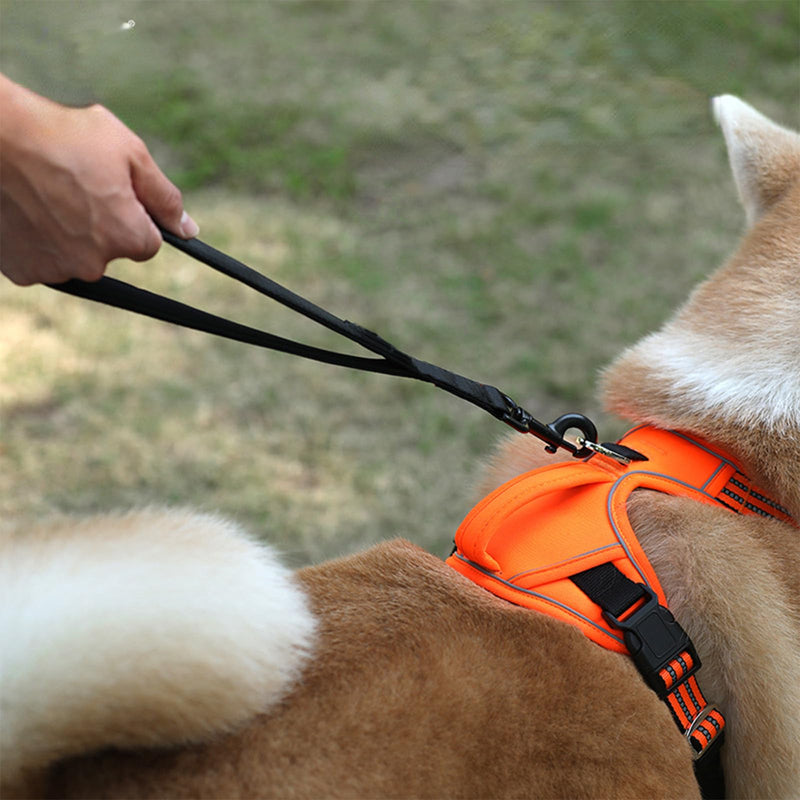 Short dog leash, training leash for dogs, nylon dog leashes, strong dog leash, dog training leash, short handler dog with 360° rotating carabiner for small, medium, large dogs (30cm) - PawsPlanet Australia