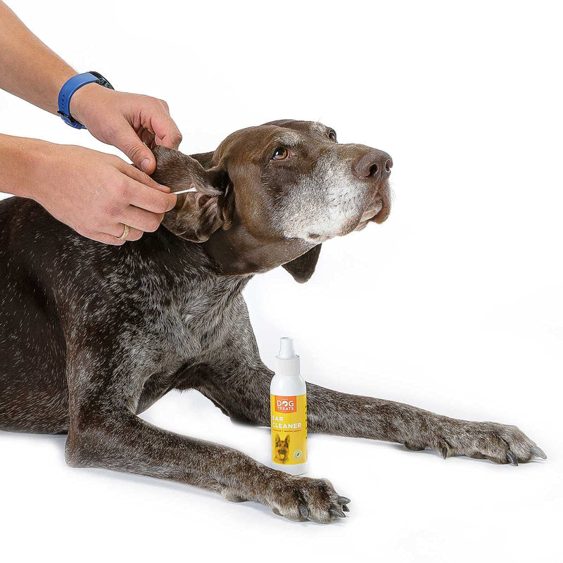 Premium Dog Ear Cleaner, 100% Natural & Vet Approved, Stop Itching, Head Shaking & Smell, 125 ml 4.2 oz 125 ml (Pack of 1) - PawsPlanet Australia