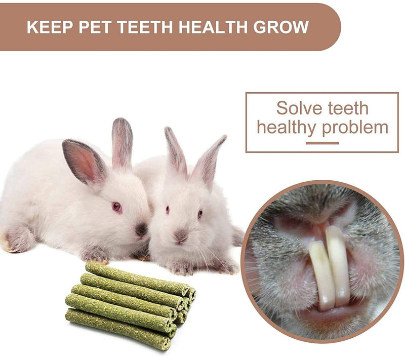 10PCS Pet Hamster Chew Toy, Natural Wooden Pet Snacks Chew Toys Set for Teeth Care and Exercise, Small Animals Chew Toys Accessories for Hamster Bunny Parrot Chinchilla Guinea Pig Gerbil Rat 10Pcs - PawsPlanet Australia