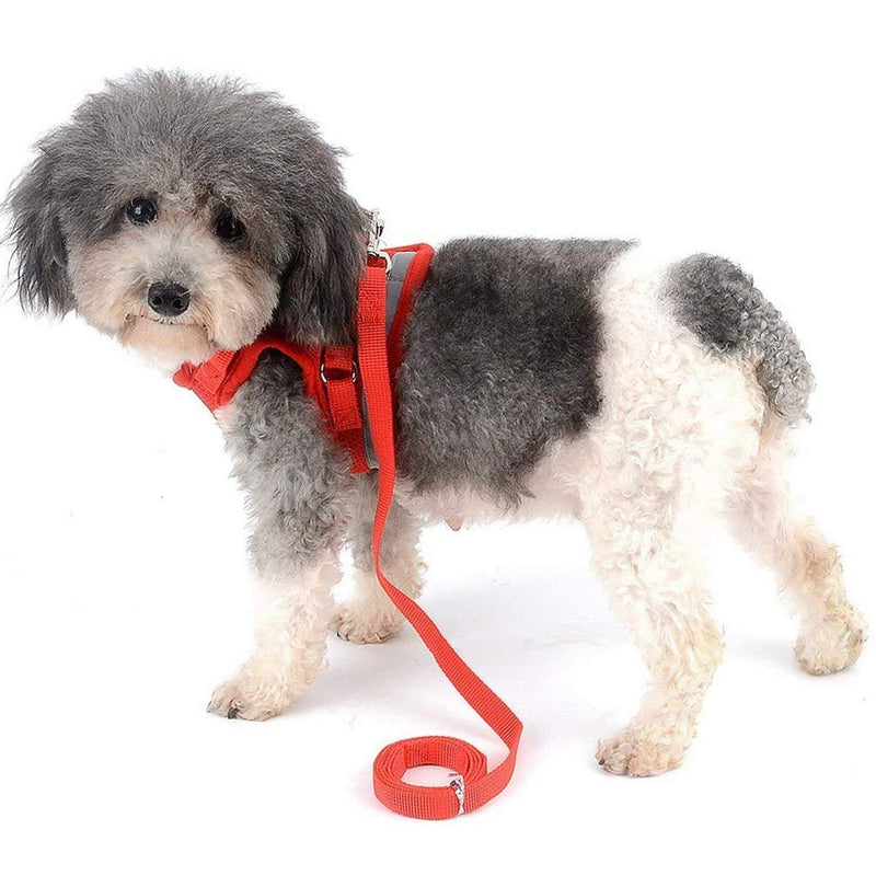 WINS Dog harness small medium dog no pull dog walking harness and lead set adjustable padded dog vest harness with leash with reflective straps M (chest girth-35-40cm) Red - PawsPlanet Australia