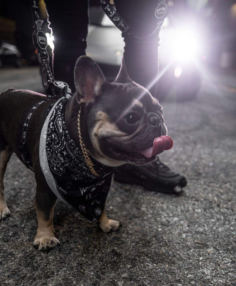 Fresh Pawz Death Row x The Logo | Adjustable Mesh Dog Harness Small - PawsPlanet Australia