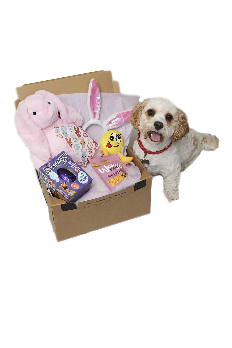 Bunny Dog Hamper | Dog Gift Box | Dog Box | Dog Gift Set | Dog Plush Toy | Bunny Bandana | Rabbit - PawsPlanet Australia