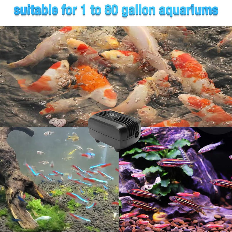 biuufish Mini Aquarium Air Pump, Ultra Silent Fish Tank Air Pump Bubbler with Fish Jewelry Keychain/Air Stones/Silicone Tube/Check Valves Oxygen Pump for 10-60 Gallon Tank - PawsPlanet Australia