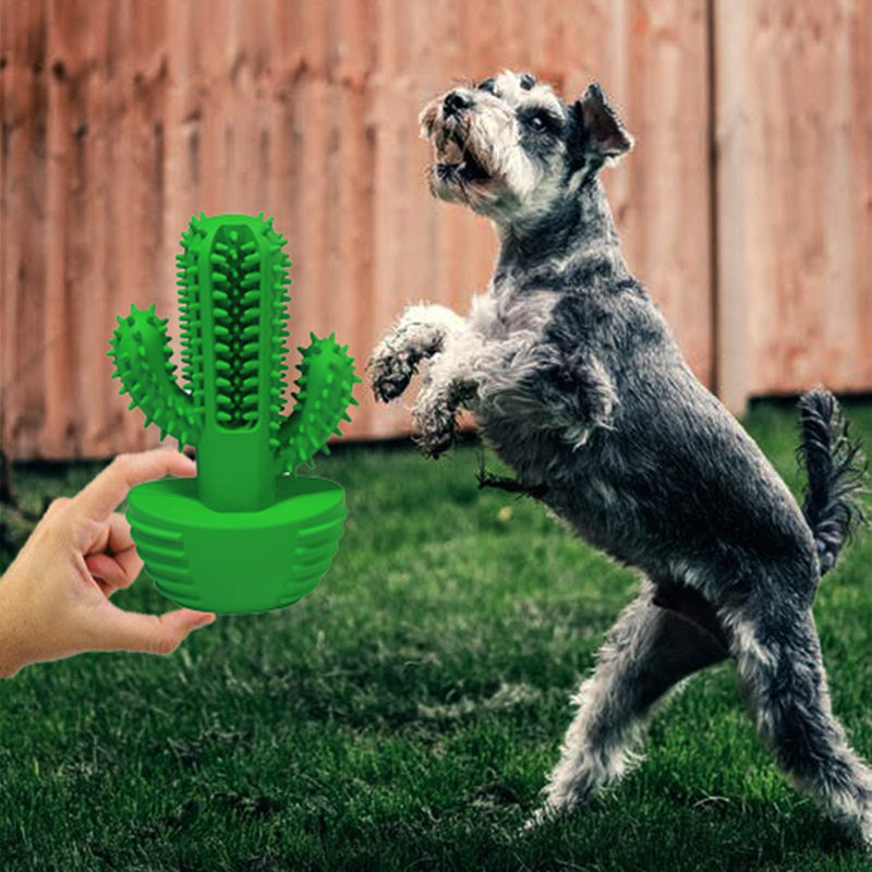 DOHAOOE Dog Chew Toys - Indestructible Squeaky Dog Toothbrush Toys for Large Medium Small Aggressive Chewers Dogs, Easy Teeth Cleaning, 100% Natural Rubber - PawsPlanet Australia