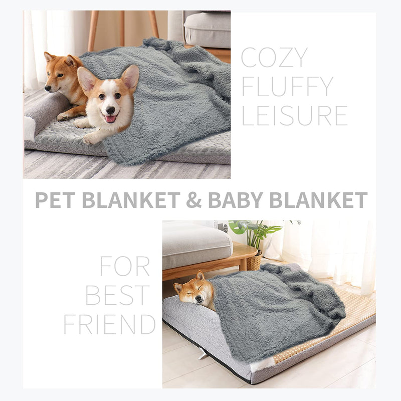 Cozy Fleece Dog Blanket Medium Fuzzy Soft Washable Puppy Blankets Sherpa Couch Pet Cat Throw Anxiety Weighted Bed Pad Cover Gray Gray01 M (31"x39") - PawsPlanet Australia