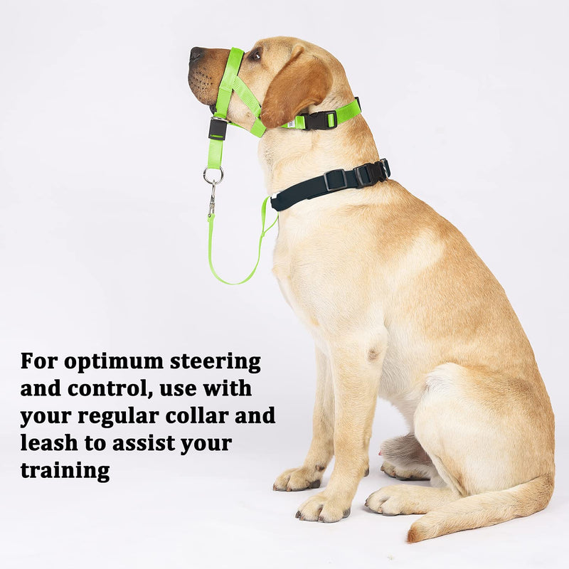 Barkless Dog Head Collar, No Pull Head Halter for Dogs, Adjustable, Padded Headcollar with Training Guide - Stops Pulling and Choking on Walks M (Snout: 7.1"-8.7") Fluorescent Green - PawsPlanet Australia