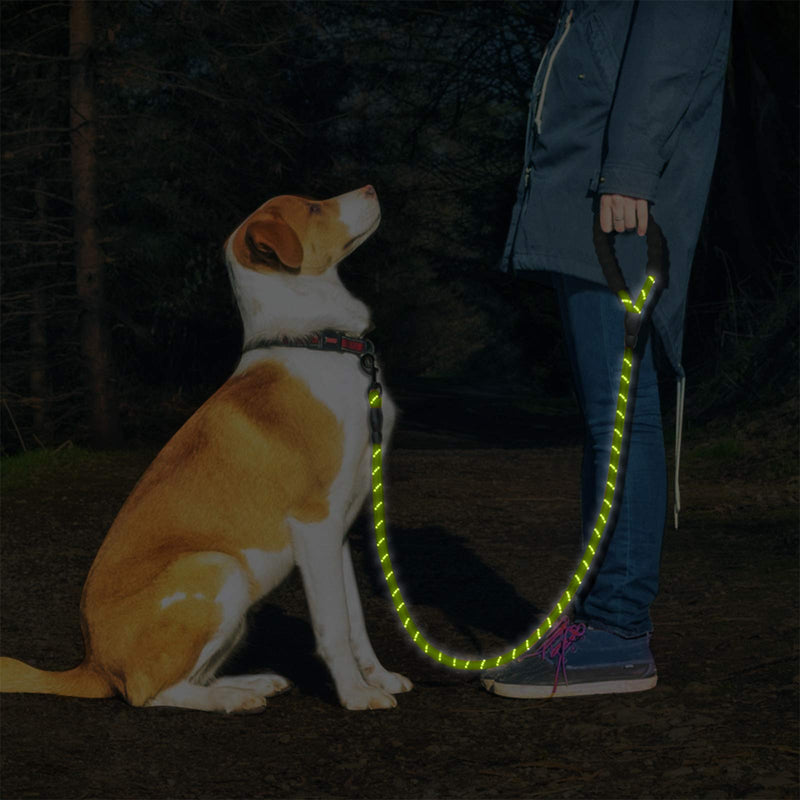 kiniza Strong Dog Leash with Comfortable Padded Handle 10 FT Dog Leash Reflective Dog leashes 3M Rope Leashes for Dogs Long Rope Dog Leashes for Medium and Large Dogs - PawsPlanet Australia