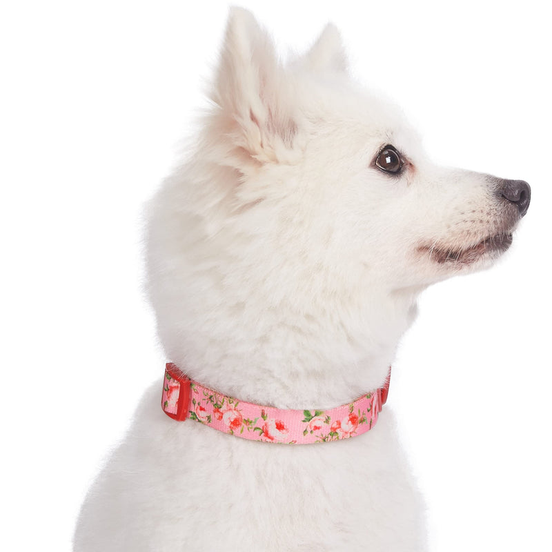 Blueberry Pet 10+ Patterns Spring Scent Floral Dog Collars, Personalized Collars Regular Collar - X-Small Rose Baby Pink - PawsPlanet Australia