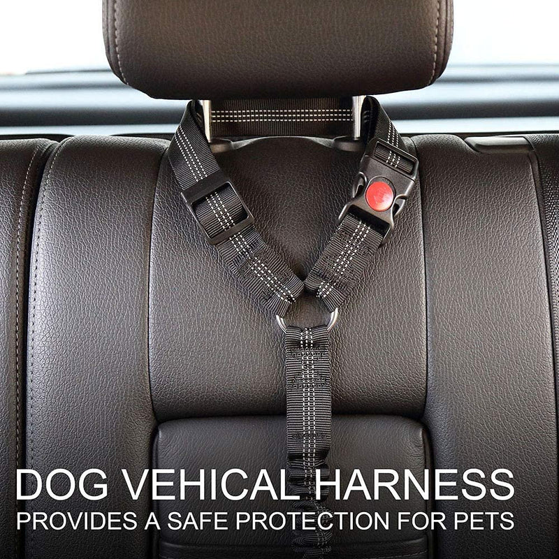 Car Dog Seatbelt Adjustable with Elastic Bungee Headrest Restraint with Elastic Bungee and Reflective Stripe Connect with Dog Harness in Vehicle for Travel Daily Use Dog Car Safety - PawsPlanet Australia