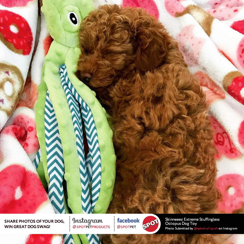 [Australia] - SPOT Ethical Pets Skinneeez Extreme Stuffingless Durable Squeaker Octopus Dog and Cat Toy, 16", Assorted 