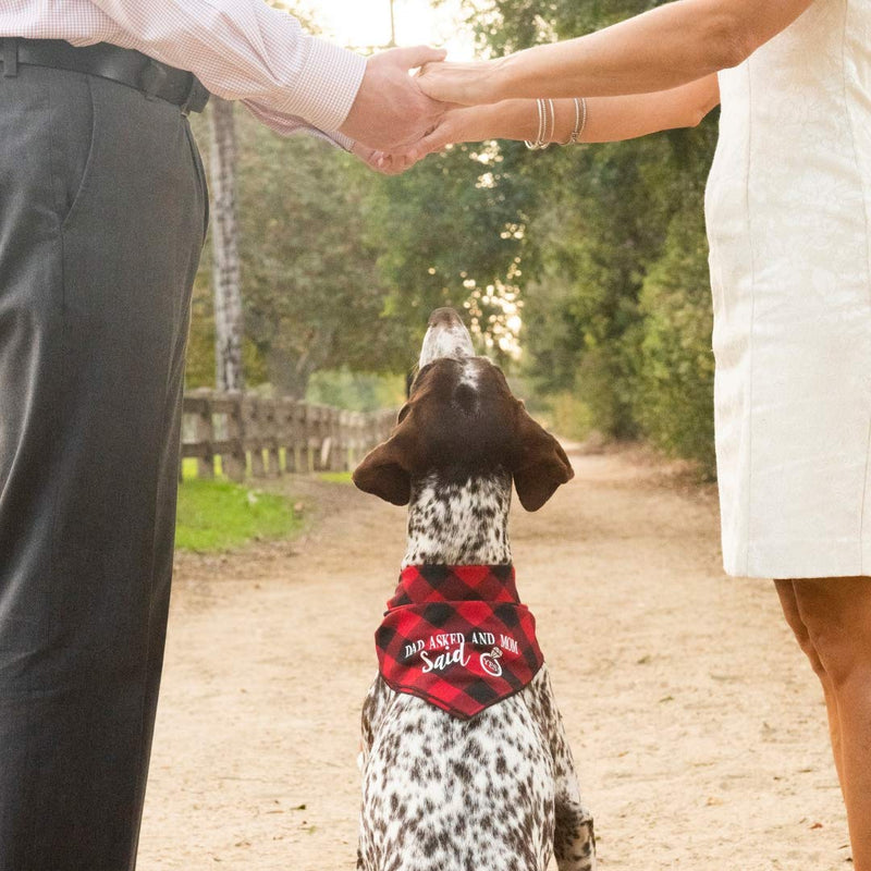 [Australia] - Willowear Dad Asked and Mom Said Yes Wedding Engagement Photos Bridal Shower Gift Puppy Dog Pet Bandanas Large Dad Asked and Mom Said Yes Red 