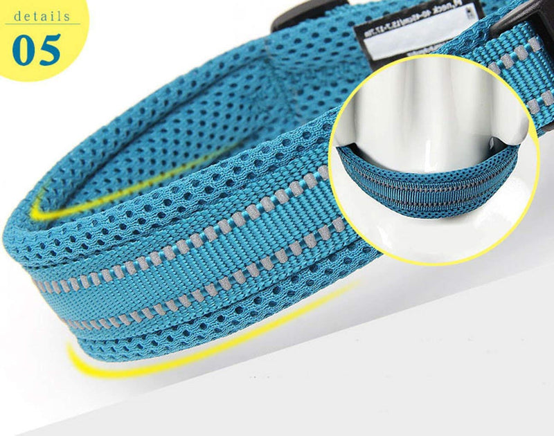 TRUE LOVE Truelove Dog Training Collar TLC5011 Reflective Premium Duraflex Buckle Nylon Webbing Pet Dog Collars,High Grade Nylon Webbing No Choke Basic Collars Now Available (S, Blue) S - PawsPlanet Australia