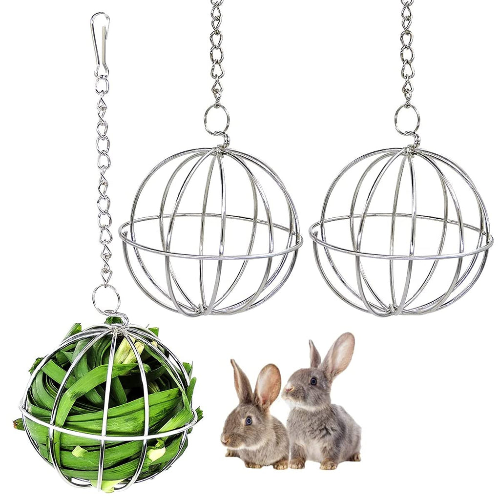 Stainless steel feeder toy, RoadLoo 3 pieces hay ball for hanging small animals toy ball rodent food ball metal hay ball pet toy for rabbits, guinea pigs, rabbits, chinchillas, hamsters - PawsPlanet Australia