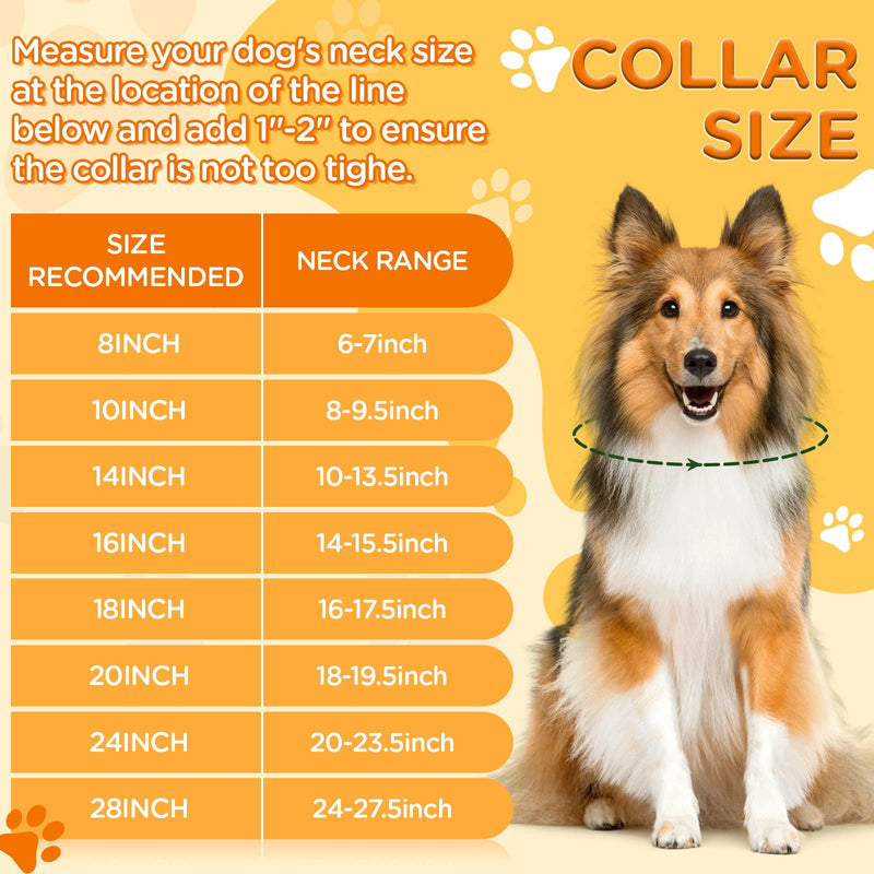 Glitter Dog Chain Collar Gold Diamond Dog Collars Cuban Dog Chains Necklace Puppy Pet Metal Link Chain with Heart Charm Pet Jewelry Accessories Chain with Buckle for Small Medium Dogs Cats 10 inch - PawsPlanet Australia