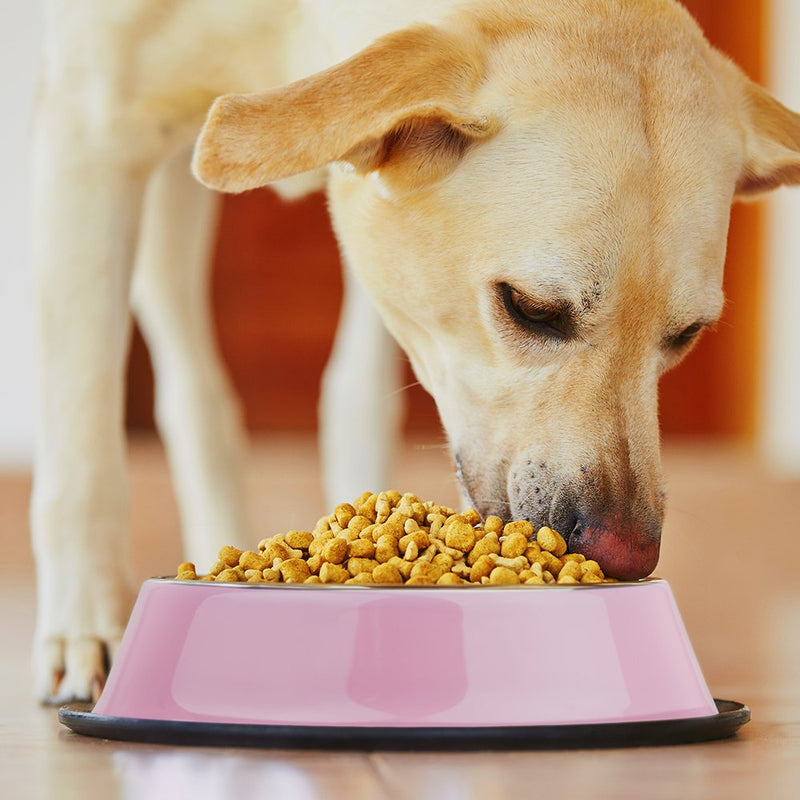 [Australia] - Weebo Pets Pink Stainless Steel No-Tip Food Bowls - Choose Your Size, 4-Ounce to 72-Ounce 72oz. Goliath 