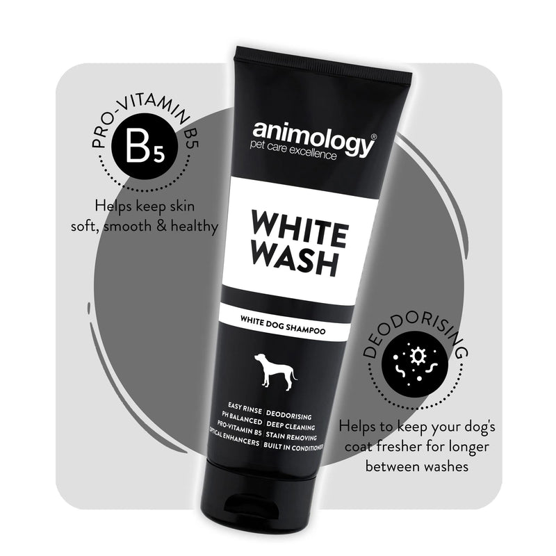 ANIMOLOGY White Wash Shampoo – Dog Coat Enhancer Formula – Dog Shampoo for Dirt and Dust Removal – Pet Shampoo with Dog Conditioners and Vitamin B5 for a Pleasant Dog Bath 2 Pack - PawsPlanet Australia