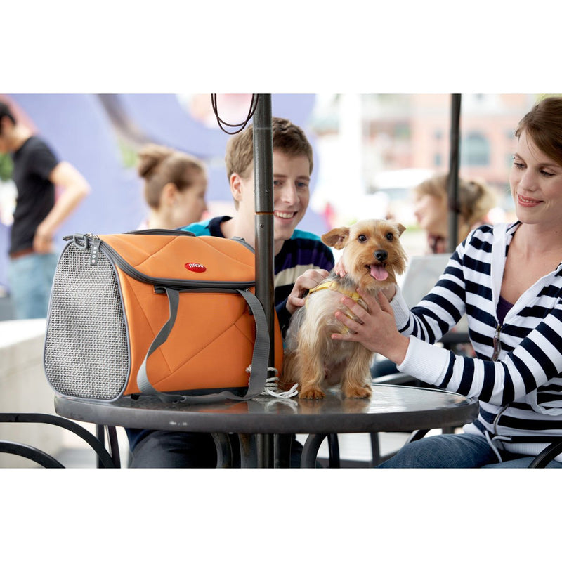 [Australia] - Argo by Teafco Pet Avion Airline Approved Pet Carrier, Tango Orange, Medium 