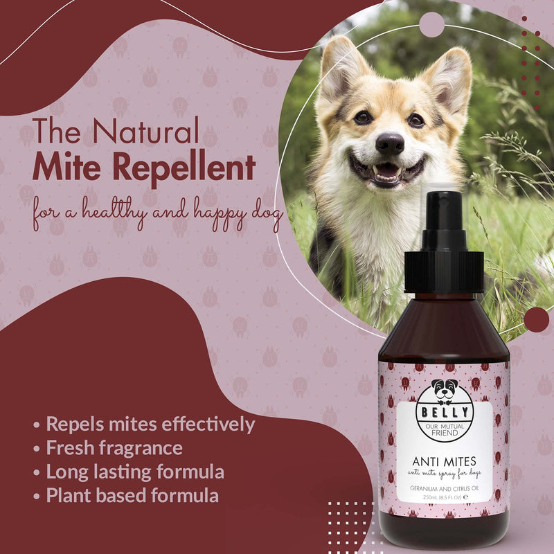 Belly Anti Mites Spray - Dog Mite Spray, An Ideal Mite Treatment For Dogs & Natural Mite Killer For On The Go - Mite treatment dogs - Alternative To Mite Shampoo For Dogs & Mite Drops For Dogs, 250 ml - PawsPlanet Australia