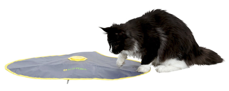 Kerbl 2-in-1 Catch The Tail Feather Cat Toy, 70 x 53 x 5 cm - PawsPlanet Australia