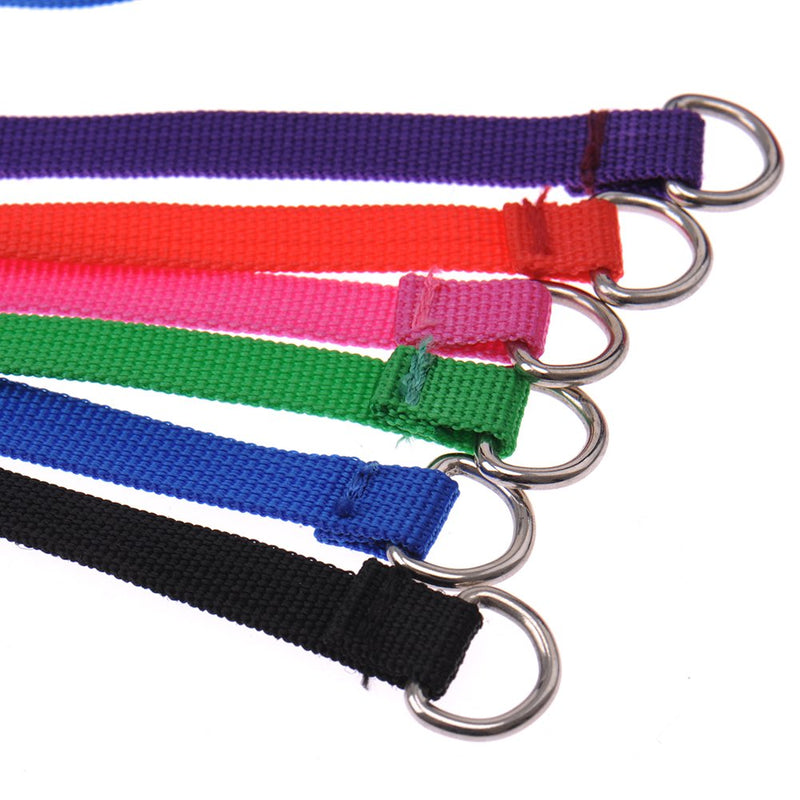 [Australia] - Oshide 6 Pack Animal Control Dog Kennel Vet Shelter Slip Leads Heavy Duty 