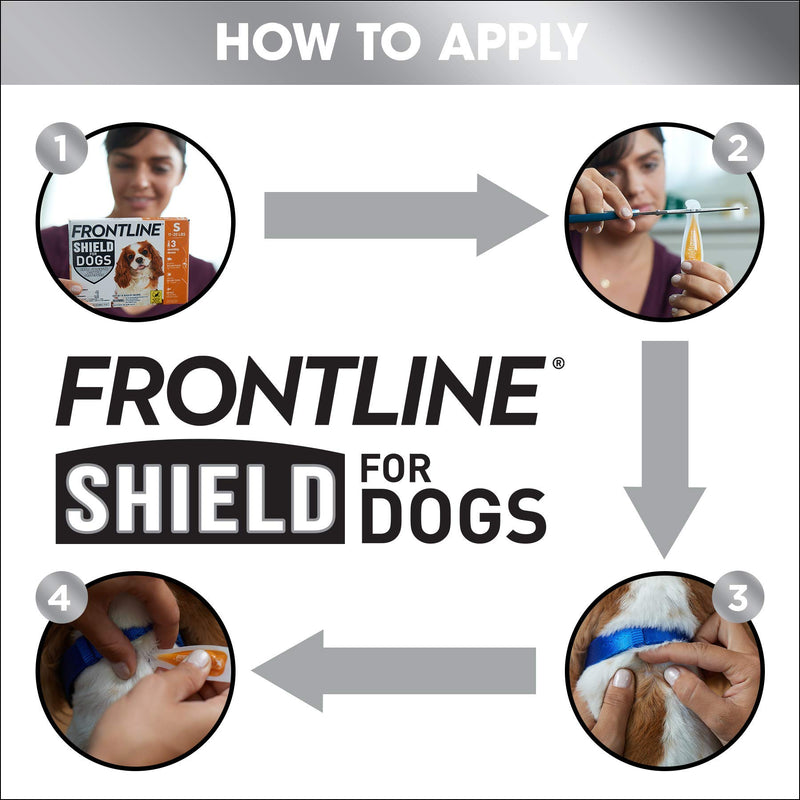 FRONTLINE Shield for Dogs Flea & Tick Treatment, 21-40 lbs 3 Count - PawsPlanet Australia