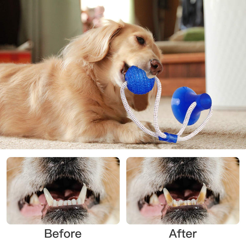 Suction Cup Dog Toy, VIKINICY Hedgehog Pet Dog Toy Interactive Durable Small Dog Toys Aggressive Chew Pet Toys for Dogs for Tug/Chewing/Teeth Cleaning Suction Cup Dog Toy - PawsPlanet Australia