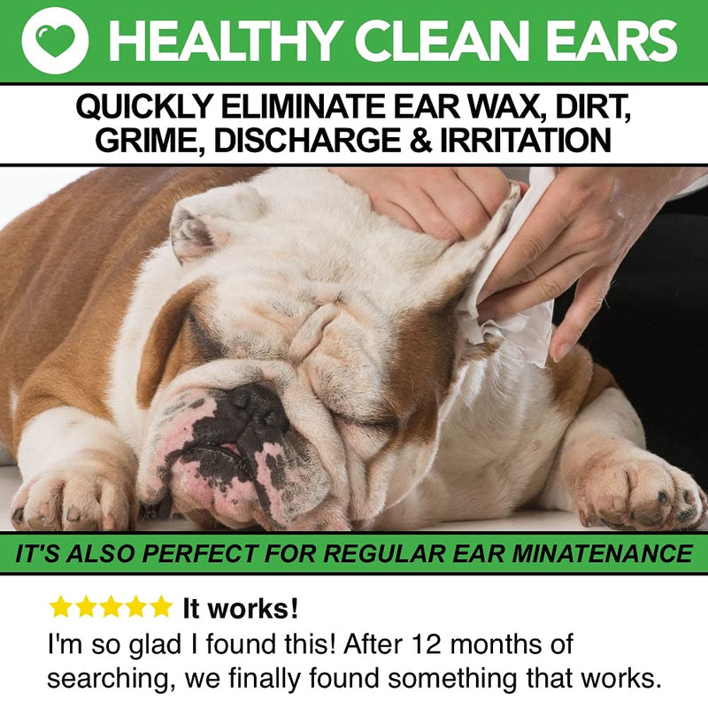 All Natural Dog Ear Cleaner | 250ml | Works in 2-3 Days | Eliminates Smells, Itching & Discomfort | Voted the Best, Safest Dog Ear Wash For Dogs With Ear Wax, Dirt, Yeast - PawsPlanet Australia