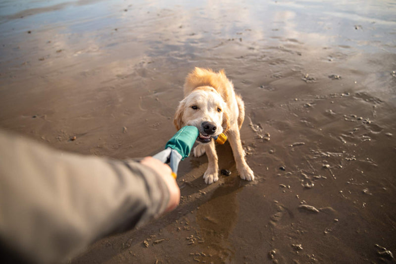 RUFFWEAR Pacific Loop Toy, Tumalo Teal, One Size - PawsPlanet Australia